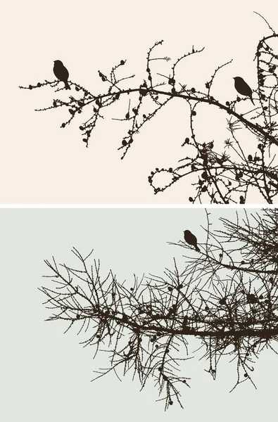 Les Oiseaux Sur Les Branches Pin — Image vectorielle