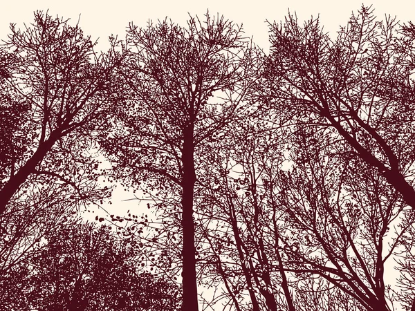 Silhuetas Árvores Caducas Floresta Outono —  Vetores de Stock