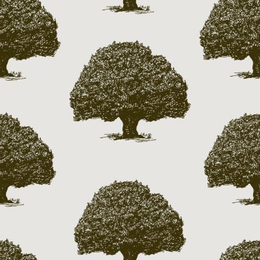Eski meşe ağaçlarının vektör arka plan