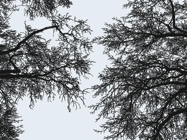 Силуети Гілок Дерев Зимовий Сезон — стоковий вектор