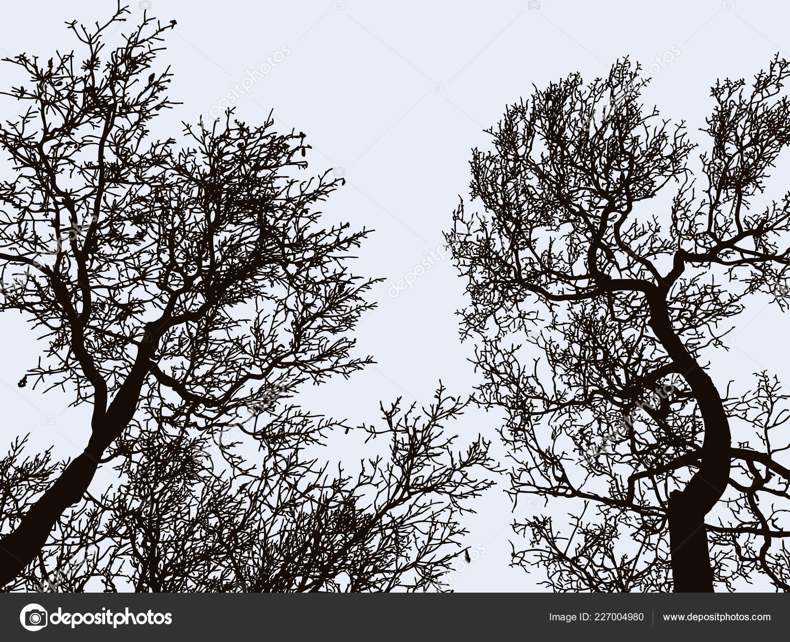 Vector Image Silhouettes Deciduous Trees Winter Vector Image By C Chronicler101 Vector Stock