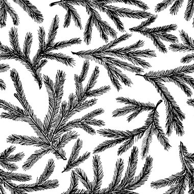 Spruce dallarının kusursuz deseni