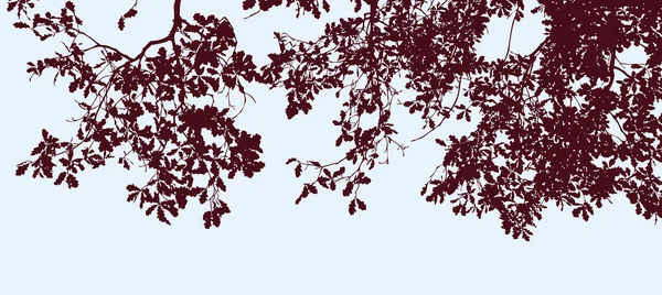 Векторное Изображение Силуэтов Дубовых Ветвей Осенью — стоковый вектор