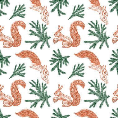 Sorunsuz arka plan orman sincap ve çam dalı