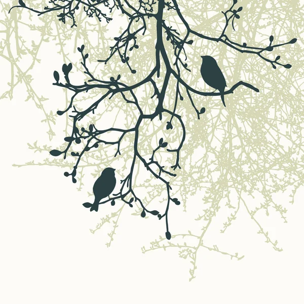 Sparrows Tree Branches Spring — Stock Vector