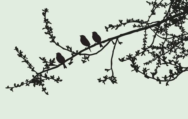 Silhouettes Sparrows Sitting Tree Branch — Stock Vector
