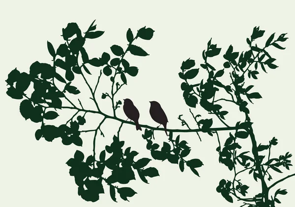 夏の鳥と木の枝のシルエット — ストックベクタ