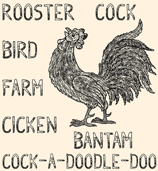 带有题词的卡通公鸡的矢量绘图 — 图库矢量图片