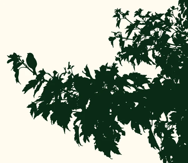 緑豊かな葉を持つ木の枝のシルエットのベクトル画像 — ストックベクタ