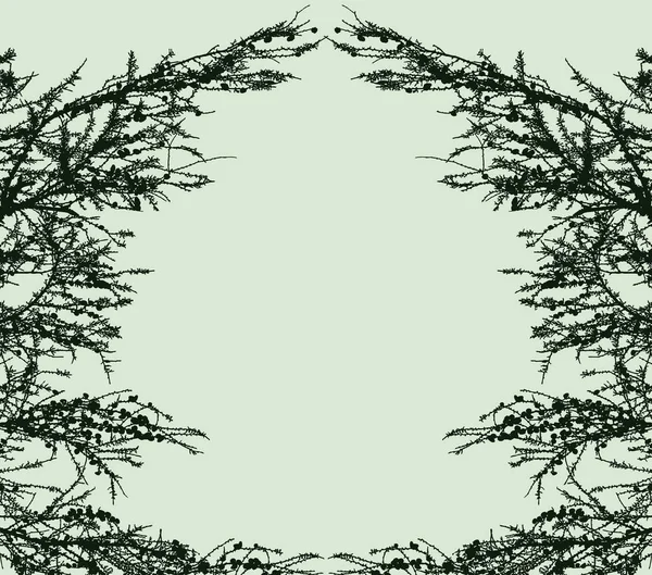 Carte Vœux Vectorielle Avec Cadre Branches Sapin Vert — Image vectorielle