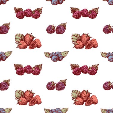 Kusursuz çizimler, çeşitli olgun meyveler.