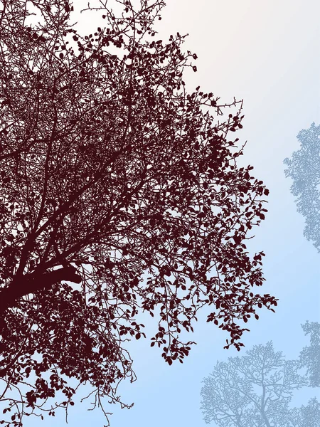 Vektorový Obraz Siluety Opadavého Stromu Podzimním Lese — Stockový vektor