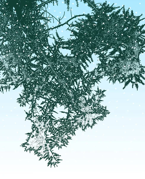 Векторное Изображение Замерзшей Елки Снежный Зимний День — стоковый вектор