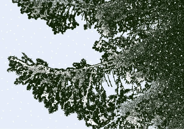 Illustration Vectorielle Des Branches Sapin Dans Forêt Hiver Par Temps — Image vectorielle