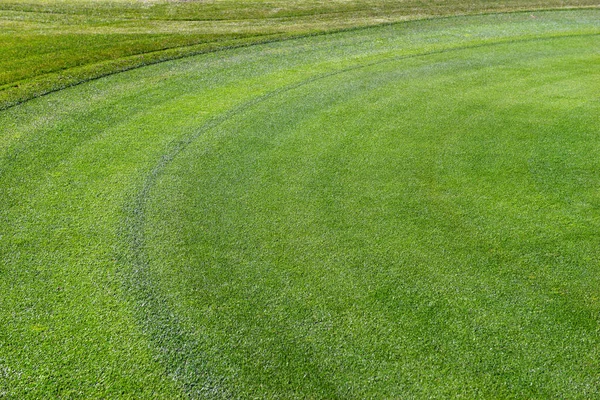 Green manicured grass of golf course