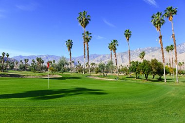 Yeşil çim golf sahası ve palmiye ağaçları ile dağ arka plan mavi gökyüzü ile manikürlü