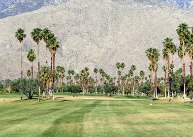 Yeşil çim golf sahası ve palmiye ağaçları ile dağ arka plan mavi gökyüzü ile manikürlü