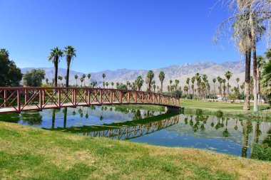 Yeşil çim golf sahası ve palmiye ağaçları ile dağ arka plan mavi gökyüzü ile manikürlü