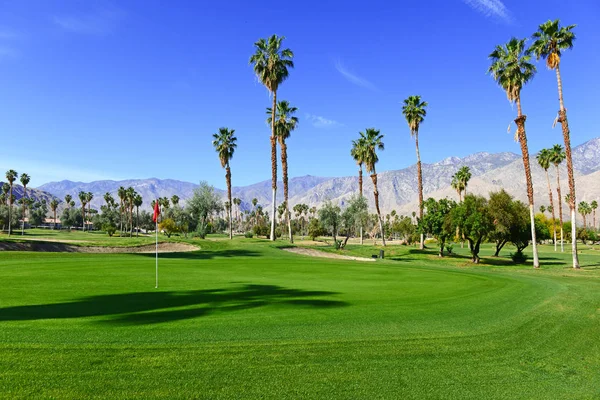 Green manicured grass of golf course and palm trees with blue skies with mountain background