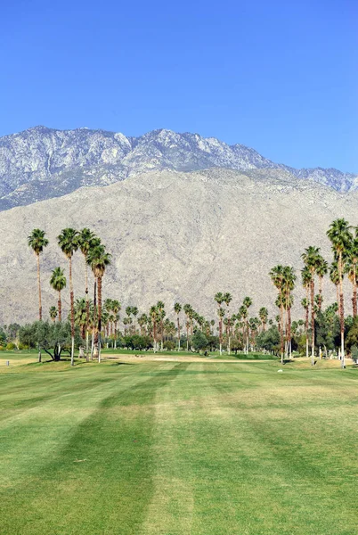 Green manicured grass of golf course and palm trees with blue skies with mountain background