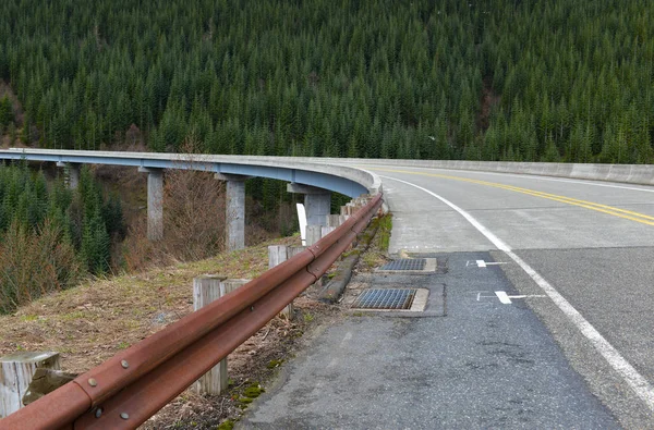 Ponte Sopraelevato Montagna Attraverso Foresta Nel Pacifico Nord Ovest Degli — Foto Stock