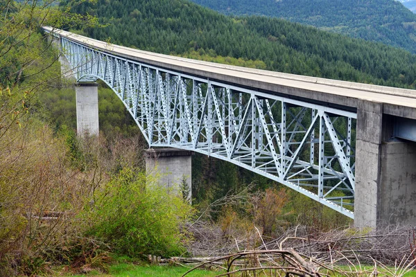 Jembatan Tinggikan Pegunungan Melalui Hutan Pasifik Barat Laut Amerika Serikat — Stok Foto