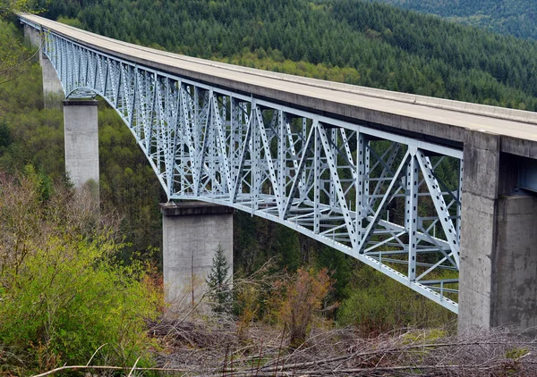 Ponte Sopraelevato Montagna Attraverso Foresta Nel Pacifico Nord Ovest Degli — Foto Stock