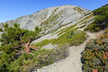 Kel Kaliforniya Dağı, San Gabriel Dağları Kaliforniya 
