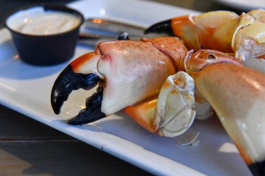 Florida yengeç pençeleri tabakta