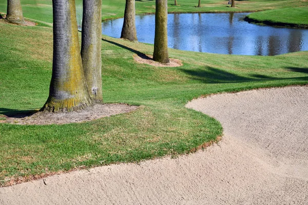 Green manicured grass of golf course fairway grass and rough with water and palm trees