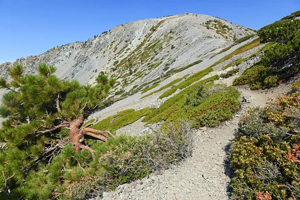 Monte Baldy California San Gabriel Montagne California — Foto Stock