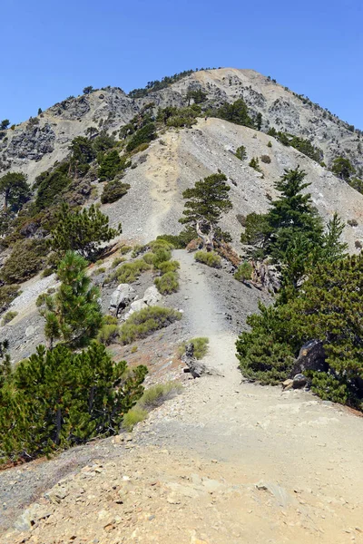 Muntele Baldy California San Gabriel Mountains California — Fotografie, imagine de stoc