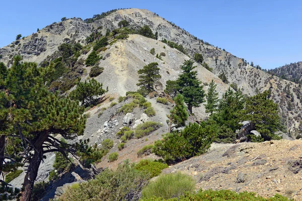 Mount Baldy California San Gabriel Hegység Kalifornia — Stock Fotó