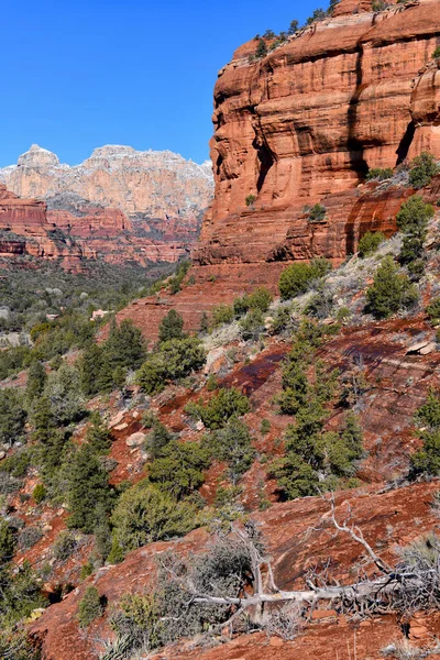 Paisaje Desierto Roca Roja Sedona Arizona Lugar Espiritual Para Retiros — Foto de Stock