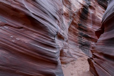 Utah, Arizona ve güneybatı Amerika gibi kurak bölgelerde sıkça rastlanan yuva kanyonları genellikle kumtaşlarında oluşan su erozyonundan oluşur ve ani sel baskını riski altındadır.