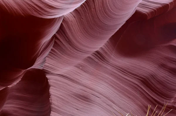 Slot Canyons Vanligen Finns Torra Områden Som Utah Arizona Och — Stockfoto