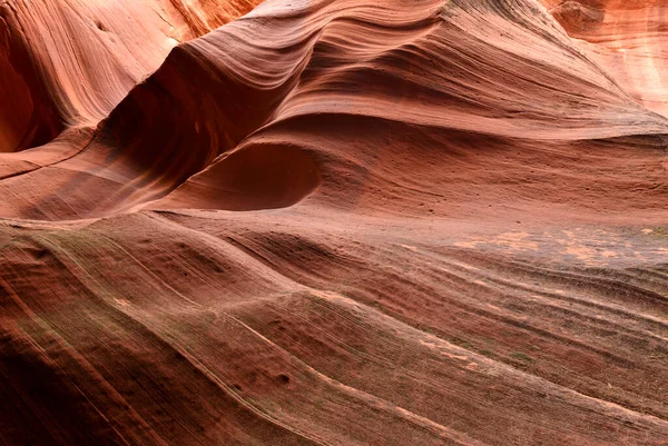 Slot Canyons Vanligen Finns Torra Områden Som Utah Arizona Och — Stockfoto