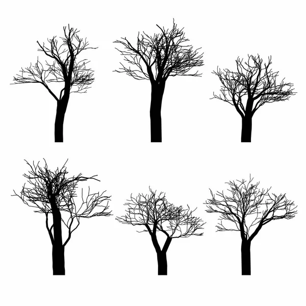 Uppsättning Svarta Nakna Träd Silhouette Set Hand Dras Isolerade Vektor — Stock vektor