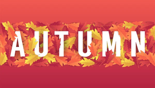 Colorful autumn leaves banner background.