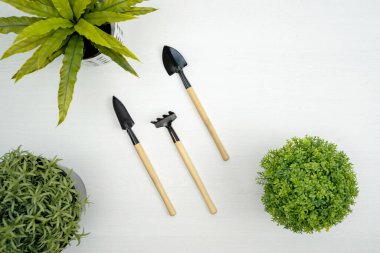Bahçe aletleri ve beyaz arka planda küçük yapay ağaç. Bahçe işleri konsepti.