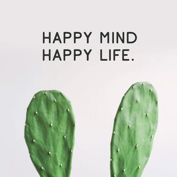 Inspirační Citát Happy Mind Happy Life Kaktusová Rostlina Bílém Pozadí — Stock fotografie