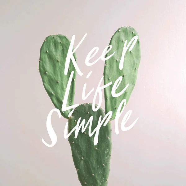 Вдохновляющая Цитата Keep Life Simple Кактус Растение Белом Фоне — стоковое фото