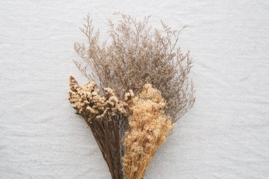 Kahverengi kumaş arka planda iç dekorasyon için güzel kuru çiçekler.