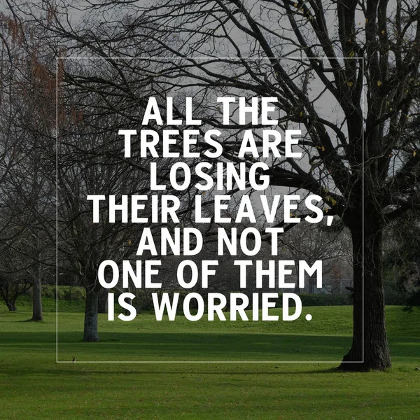 Lham Verici Motive Edici Bir Alıntı Bütün Ağaçlar Yapraklarını Kaybediyor — Stok fotoğraf