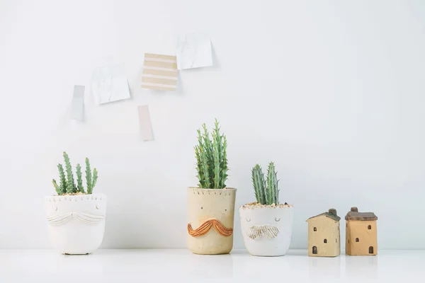 Succulenten Cactus Kleipotten Verschillende Potten Potted Cactus Huis Planten Met — Stockfoto