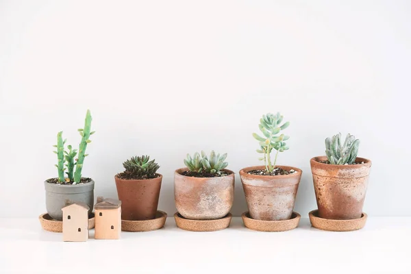 Succulents Cactus Dans Différents Pots Argile Sur Étagère Blanche Décoration — Photo