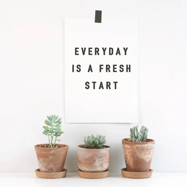 Inspirerend Citaat Elke Dag Een Nieuwe Start Cactus Potten Van — Stockfoto