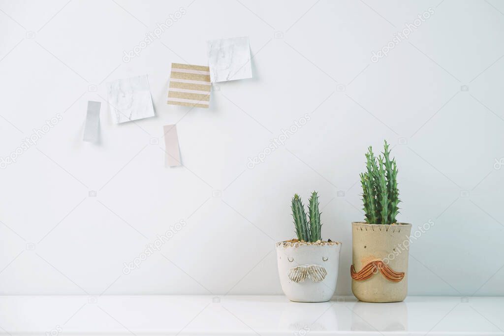 Succulents or cactus in clay pots plants in different pots. Potted cactus house plants with sticky note on white wall.