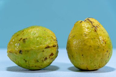 Guava meyvesi (Psidium guajava). Taze meyve. Tropik meyve. Detoks diyeti için yemek. Doğal besinlerin kaynağı. Reçel ve reçel için. Doğal guava. Ticari kullanım için meyve.