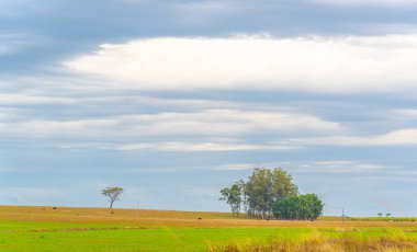 Kırsal alan. Bulutlu ve bulutlu bir gün. Yağmurlu bir gün. Brezilya 'da çiftlik alanı. Cumulunimbus bulutları. Güney Amerika Pampa bölgesinin panoramik görüntüsü.
